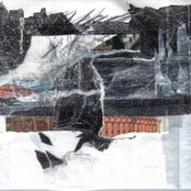 Wet Summertime Bodies Play Harps Inside Snow Banks