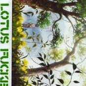 Answer=Bloodwashed Noise