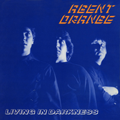 Agent Orange: Living In Darkness (30th Anniversary Edition)