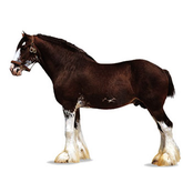 Workhorse Industries ep