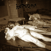 Grotesque Bloody Bedlam
