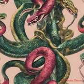 The Snake Venom
