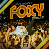 Introducing Foxy Shazam