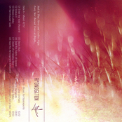 And in That Fierce and Endless Night Every Star Burned Twice as Bright​.​.​.