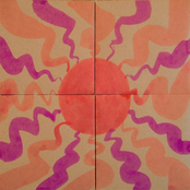 These Flowers In Dawn's Twilight At Illusion Temple