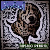 Mismo perro, distinto collar