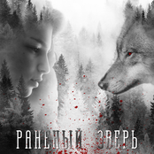 Раненый зверь