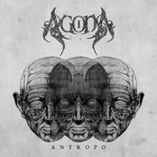 Antropo