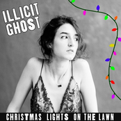 Christmas Lights on the Lawn