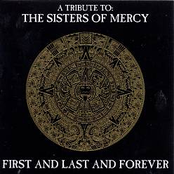 First and Last and Forever