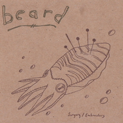 Surgery / Embroidery