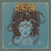 Srange and Beautiful Things