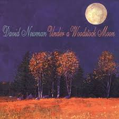 Under A Woodstock Moon by David 