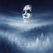 Reflecte
