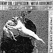 3 Way Split Live Tape