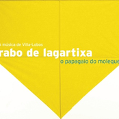O Papagaio Do Moleque
