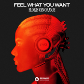 Feel What You Want - Single