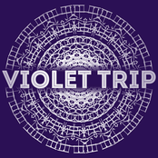 violet trip