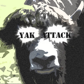 yak attack