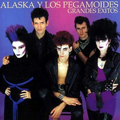 Vicky by Alaska Y Los Pegamoides