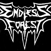 endless forest