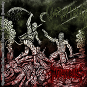 Tyrannic War Between Black Sharia & Militant Profanity