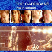 CARDIGANS - Love Fool
