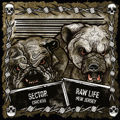 Sector: Sector (Chicago) / Raw Life (New Jersey)