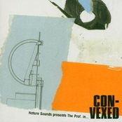 Nature Sounds presents The Prof In... Convexed