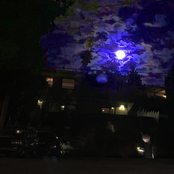 Project 424 (Tascam Demos)