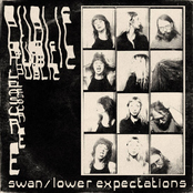 Swan / Lower Expectations