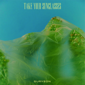Take Your Sunglasses