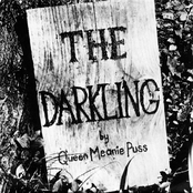 The Darkling by Queen Meanie Puss