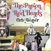 The Parson Red Heads: Orb Weaver