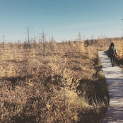 Ink Blots and Silencers