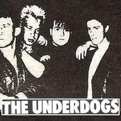 Love In A Hate Bomb by The Underdogs