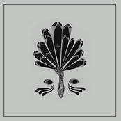 Von Unreiner Willk​ü​r