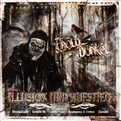 Illusion & Aufstieg