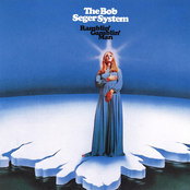 Ivory by The Bob Seger System