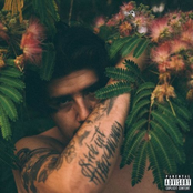 Obed Padilla: Tried & Truth