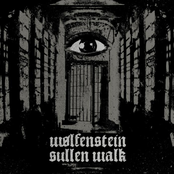 2014 - Split w/ Sullen Walk