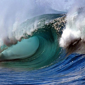 На своей волне