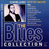 The Twelve Year Old Boy by Elmore James