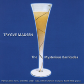 The Mysterious Barricades