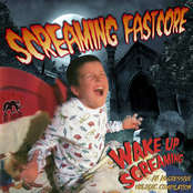 Wake Up Screaming (An Aggressive Melodic Compilation)