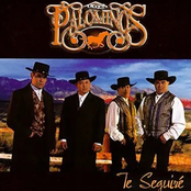 Los Palominos: Te Seguiré