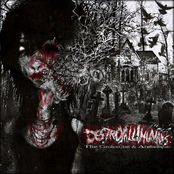 The Grotesque & Arabesque