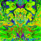 Who Let The Bird Out