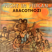 Night in Pelican