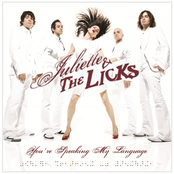 I Never Got To Tell You What I Wanted To by Juliette And The Licks